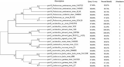 Effects of Phytic Acid-Degrading Bacteria on Mineral Element Content in Mice